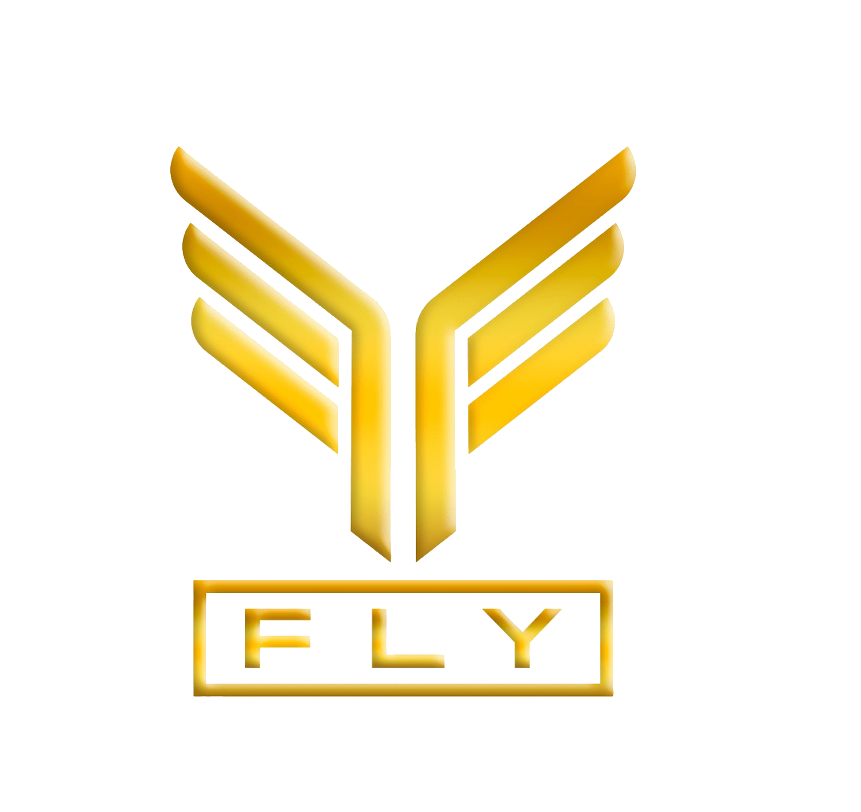 FLY